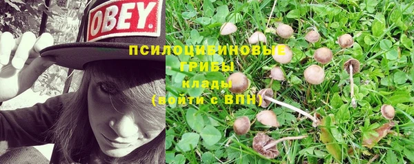 МДПВ Арсеньев
